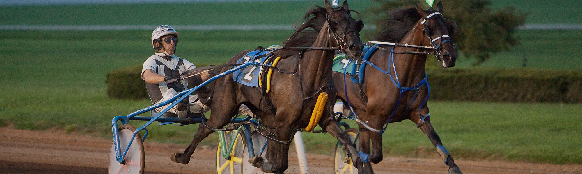 Harness Racing